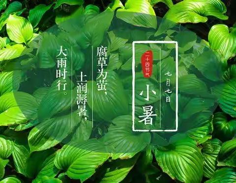 暑至夏来  ，乐园一幼中二班二十四节气主题活动——小暑