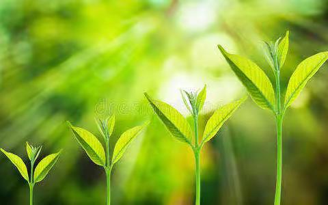 十年成长，感谢有你！