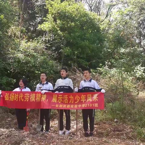 爱劳动，爱生活，活力少年尽显风采