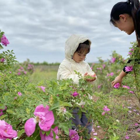姑娘三周岁生日