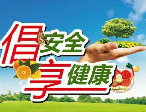 潘集区魏圩小学食品安全宣传教育