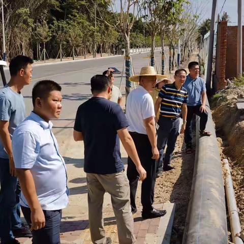 区委常委书记孙德震到安罗村安游公路路段提升改造建设工作调研