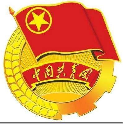 安罗村团支部学习习近平总书记在纪念五四100周年大会上的讲话