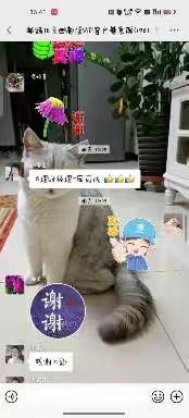 🎊北京西818理财节线上预热活动🎊