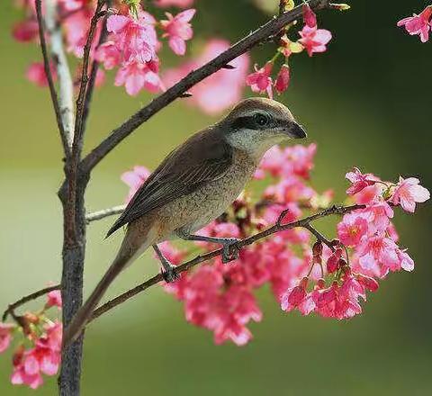 天赋与使命----发掘你的天赋才能，成就人生使命