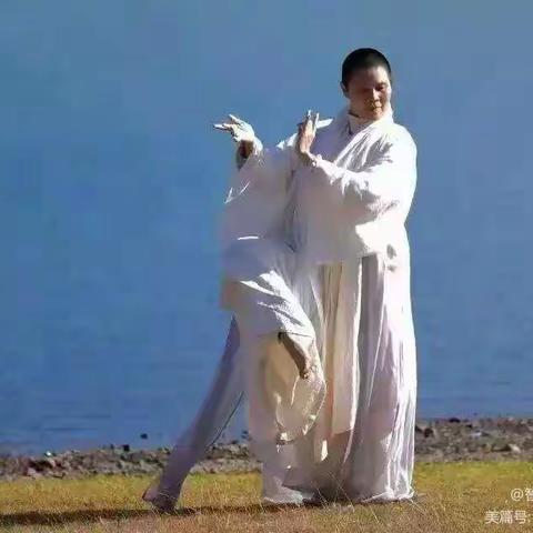 智悲中道禅舞3月18-20日初级班（濮阳）