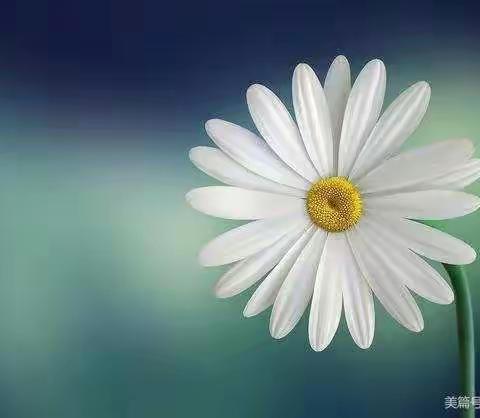 幸福人生工作坊