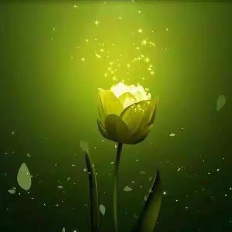 “在爱中升华”系统排列and系统分析工作坊濮阳站