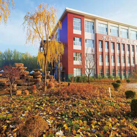 "停课不停学，我是学习小达人"利通区第十六小学四(4)班在线学习纪实