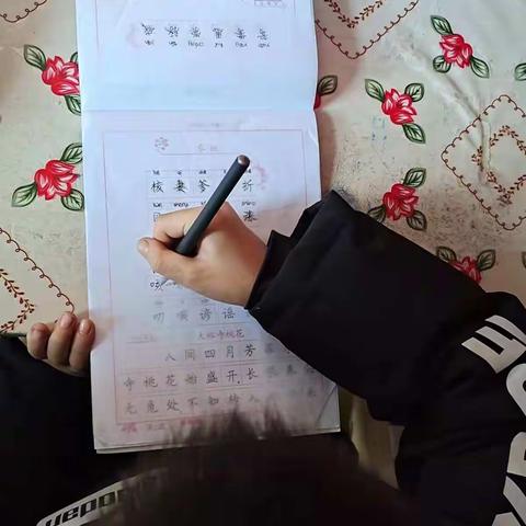 宁武实验小学三（六）班  江朋真