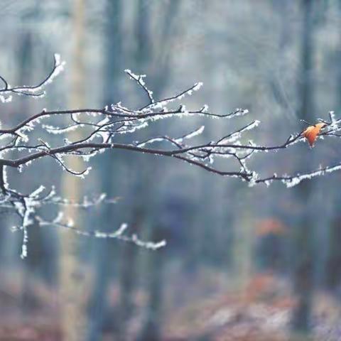 【都党乡中心校——石场学校】