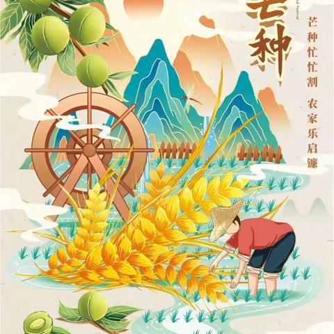 🌾🌾芒种芒种，幸福播种🌾🌾爱诺睿智幼儿园“芒种”节气活动