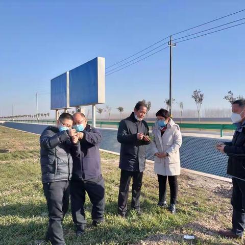 深入田间地头，强化技术指导，服务夏粮生产。