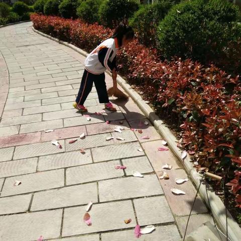 安康高新一小一(1)中队江雨涵学雷锋行动