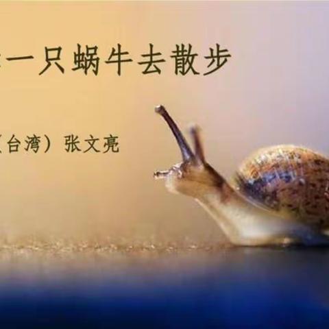 《牵一只蜗牛🐌去散步》