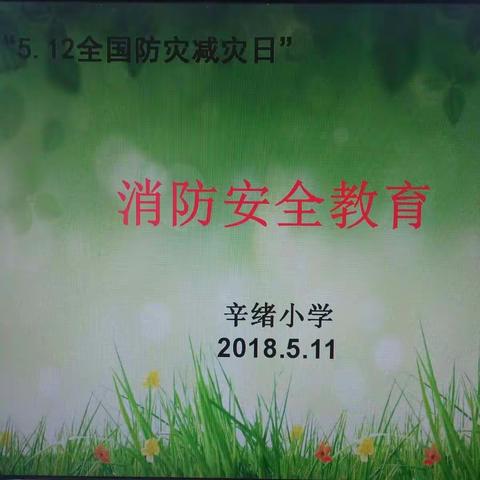 辛绪小学开展‘‘5.12全国防灾减灾日’’消防宣传活动