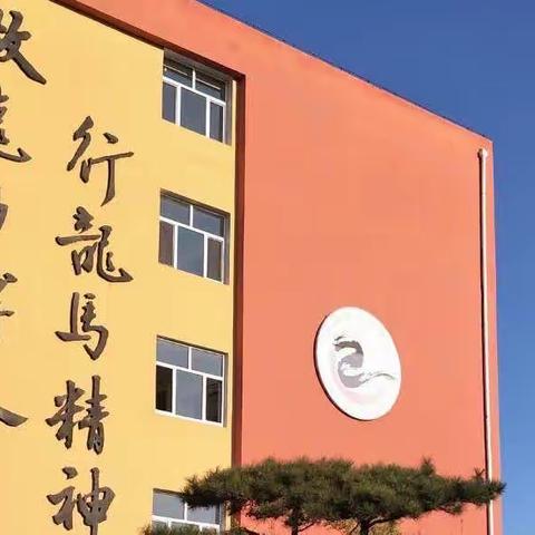 多彩寒假相伴，一路健康成长——王兰庄学校中年级寒假综合活动纪实