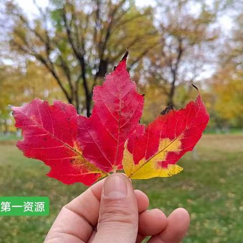 【学在平常 干在平时】 ——学习党的二十大精神体会（六）人民教育关系祖国未来