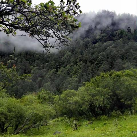 邓生沟自然保护区