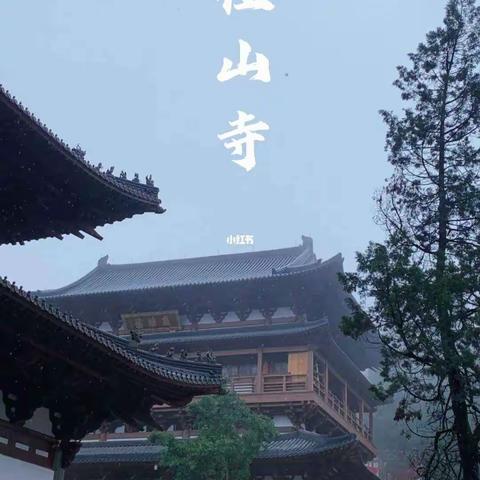 元旦虔诚祈愿……