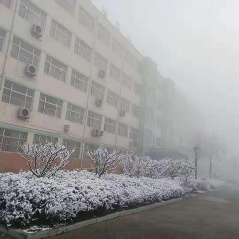 晨起开门雪满山，雪晴云淡日光寒。----徐家店小学雪景