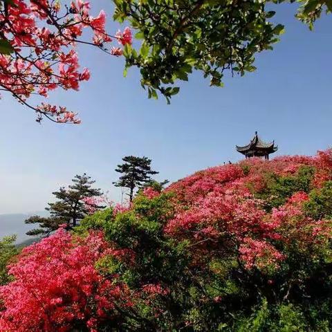 《多文本阅读，我们再出发》