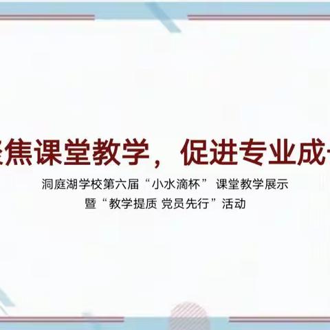 聚焦课堂教学 促进专业成长      ——洞庭湖学校第六届“小水滴杯” 课堂教学展示暨“教学提质 党员先行”活动