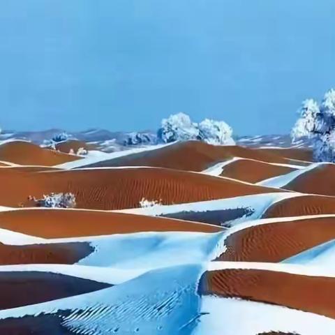 新疆的雪景