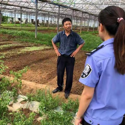 琼山区凤翔街道监测员田间开展工作情况