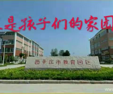 【省级示范园】西辛庄中心幼儿园大三班区域活动