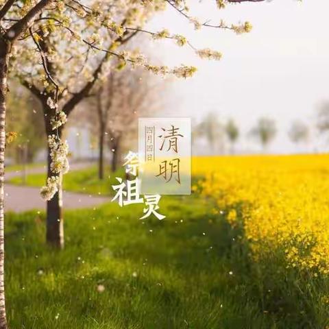 清明草坪绿茵茵，万人踏青飞纸鸢。阖家携程尊天地，感恩延绵代代传。——记大荔县红楼小学四三班主题班会