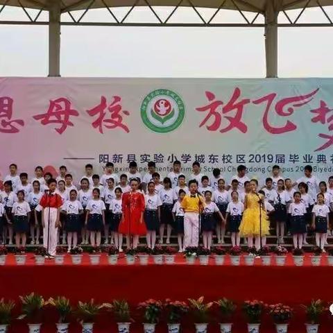 时光不老，我们不散