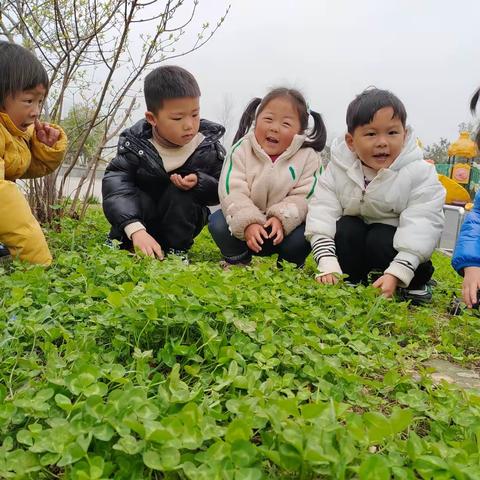 【春天，你好呀！】——渔沟中心小学第二幼儿园小二班一周活动