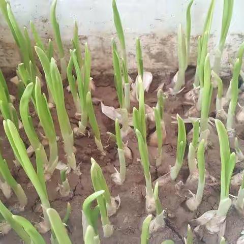 守护最好的你—亲子日记第25篇
