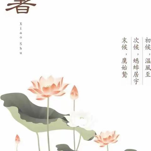 倏忽温风至，因循小暑来——玉潭二十四节气