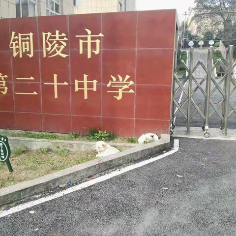 赞我校园