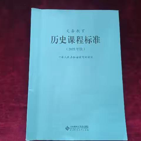 历史组新课标学习5