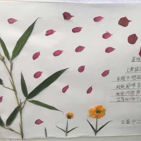 二二班第四期树叶🍂展