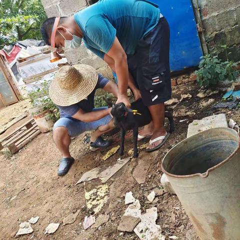 2022年老城秋季防疫开始了