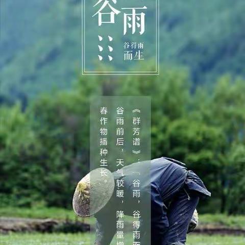 雨生百谷，遇见最美暮春色——新教育研发卓越课程洛阳启迪未来小学三年级二十四节气探索课程之“谷雨”