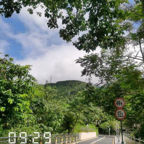 20230917，云深处打卡