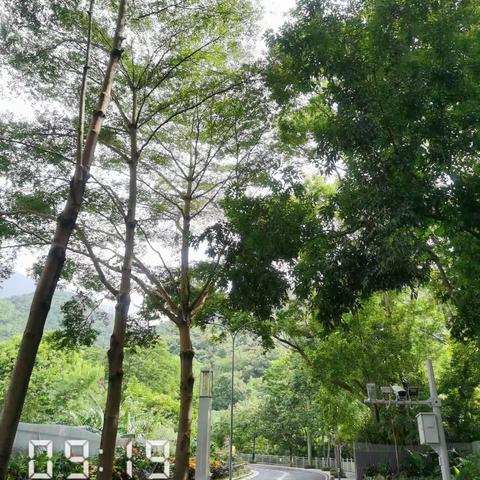 20230904，云深处打卡