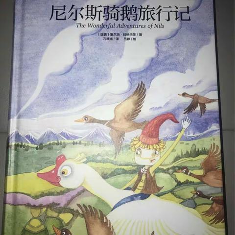 科区实验小学二年三班孙翼《尼尔斯骑鹅旅行记》