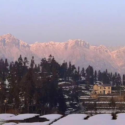 最美邓村茶山雪景