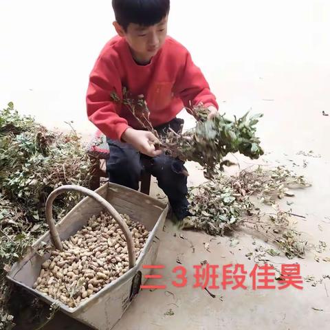 内黄县三实小三年级3班﻿“中国梦，劳动美”实践活动