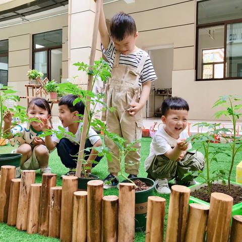 幼儿园的一抹绿.【5月17～5月21日】