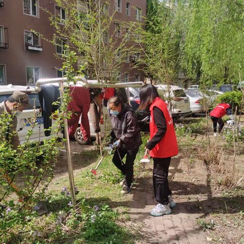 金沙湾社区开展“清洁沈阳 盛京使者在行动”志愿服务集中活动