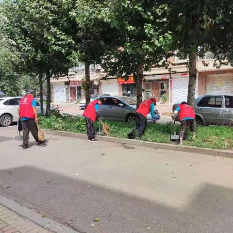 金沙湾社区开展“创卫我先行”志愿服务活动