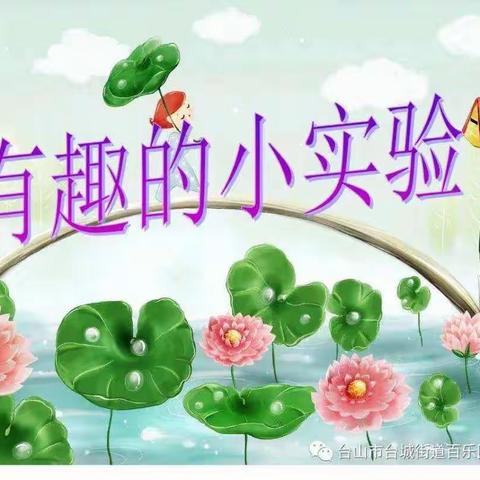 科学小实验——《会喝水的白菜》