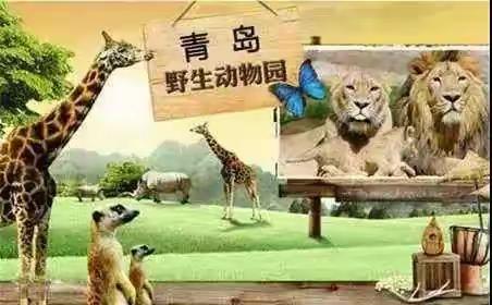 3月12日青岛野生动物园+草莓采摘休闲一日游